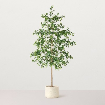 96" Black Olive Artificial Tree - Hearth & Hand™ with Magnolia | Target