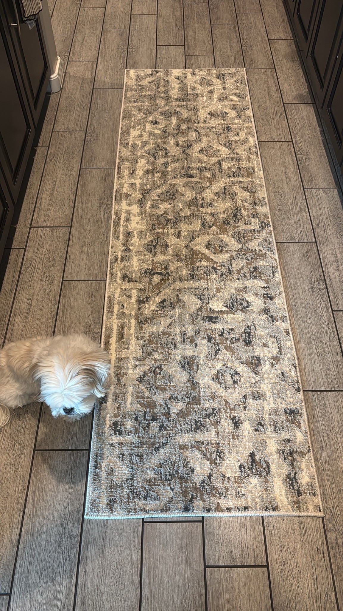 Target runner 2 x 7 

#runner #homefinds #targethome #rug #targetrunner #kitchenrug #kitchenfinds #kitchenrunner #affordablefinds #homedecor #neutraldecor 

#LTKFindsUnder50 #LTKHome #LTKSaleAlert