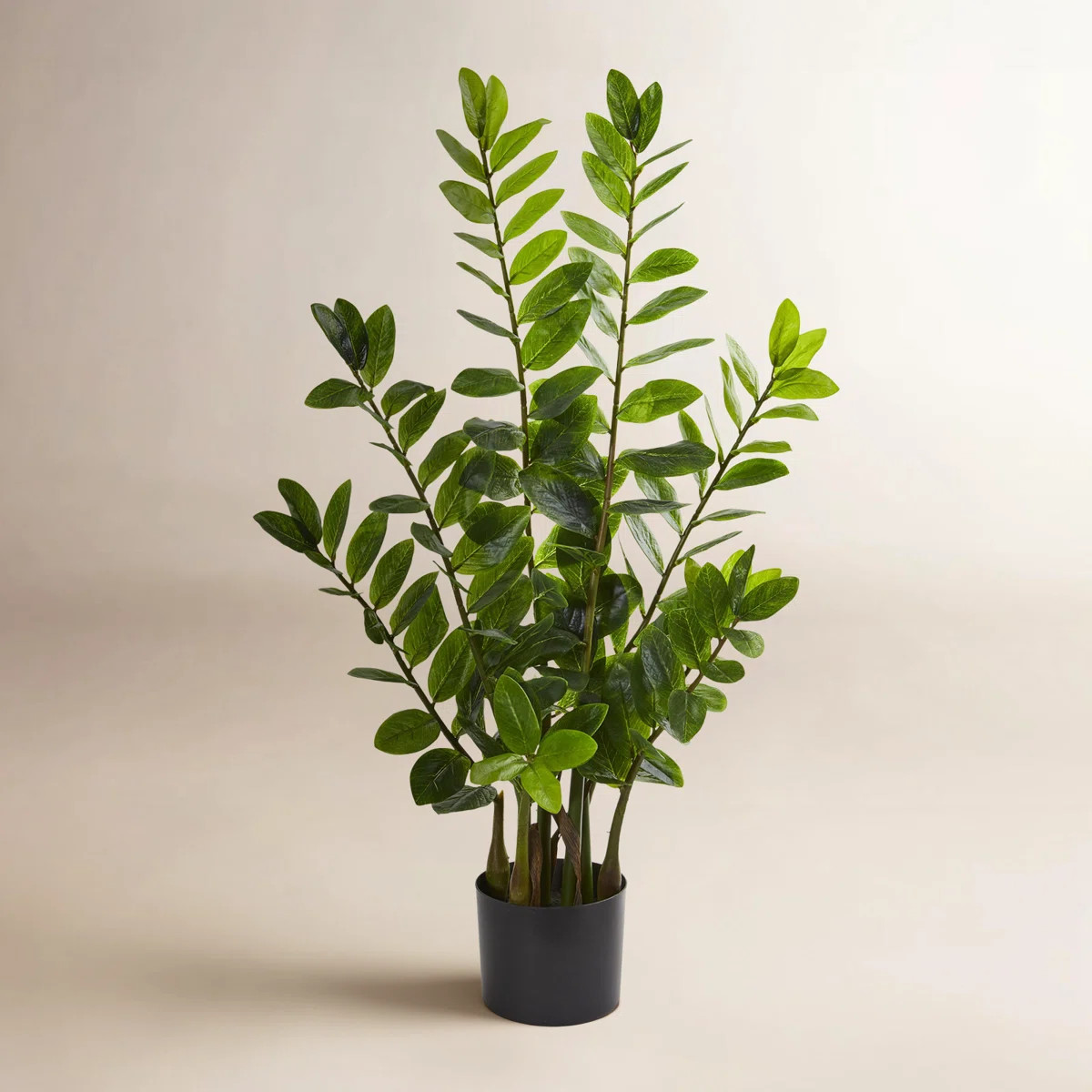 Faux ZZ Plant in Pot | Wayfair North America