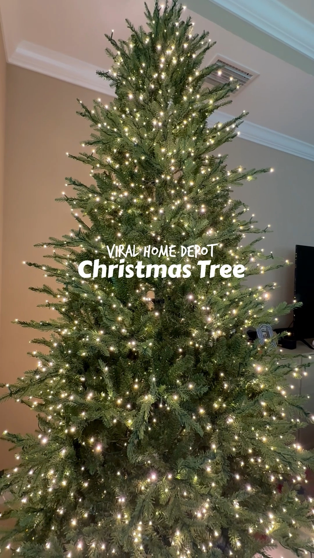 Viral Home Depot Christmas tree!! It’s seriously even prettier in person 😍 grand duchess, 9 foot, holidays, Christmas decor

#LTKSeasonal #LTKHome #LTKHoliday