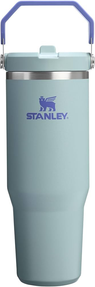 Stanley IceFlow 2.0 Flip Straw Tumbler with Handle 30 oz | Twist On Lid and Flip Up Straw | Leak ... | Amazon (US)