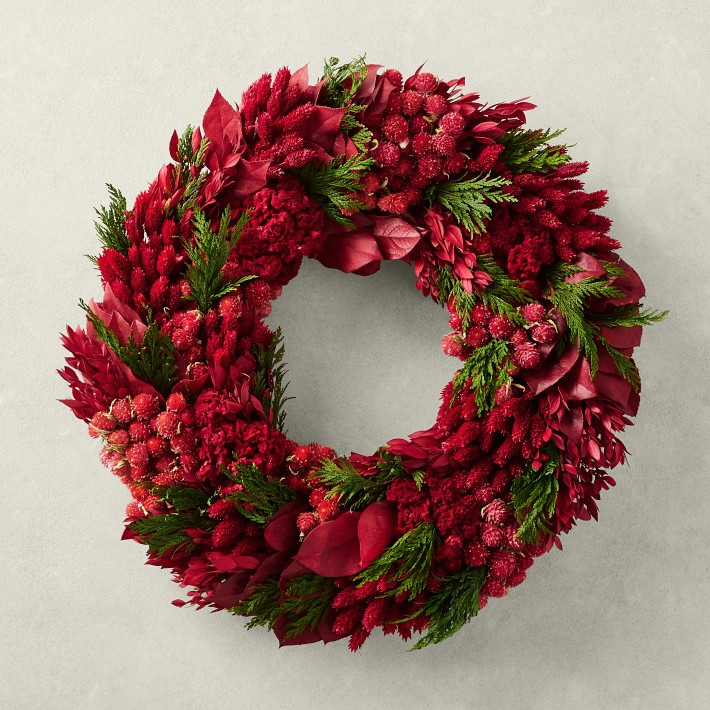 Red Velvet Live Wreath, 18" | Williams-Sonoma