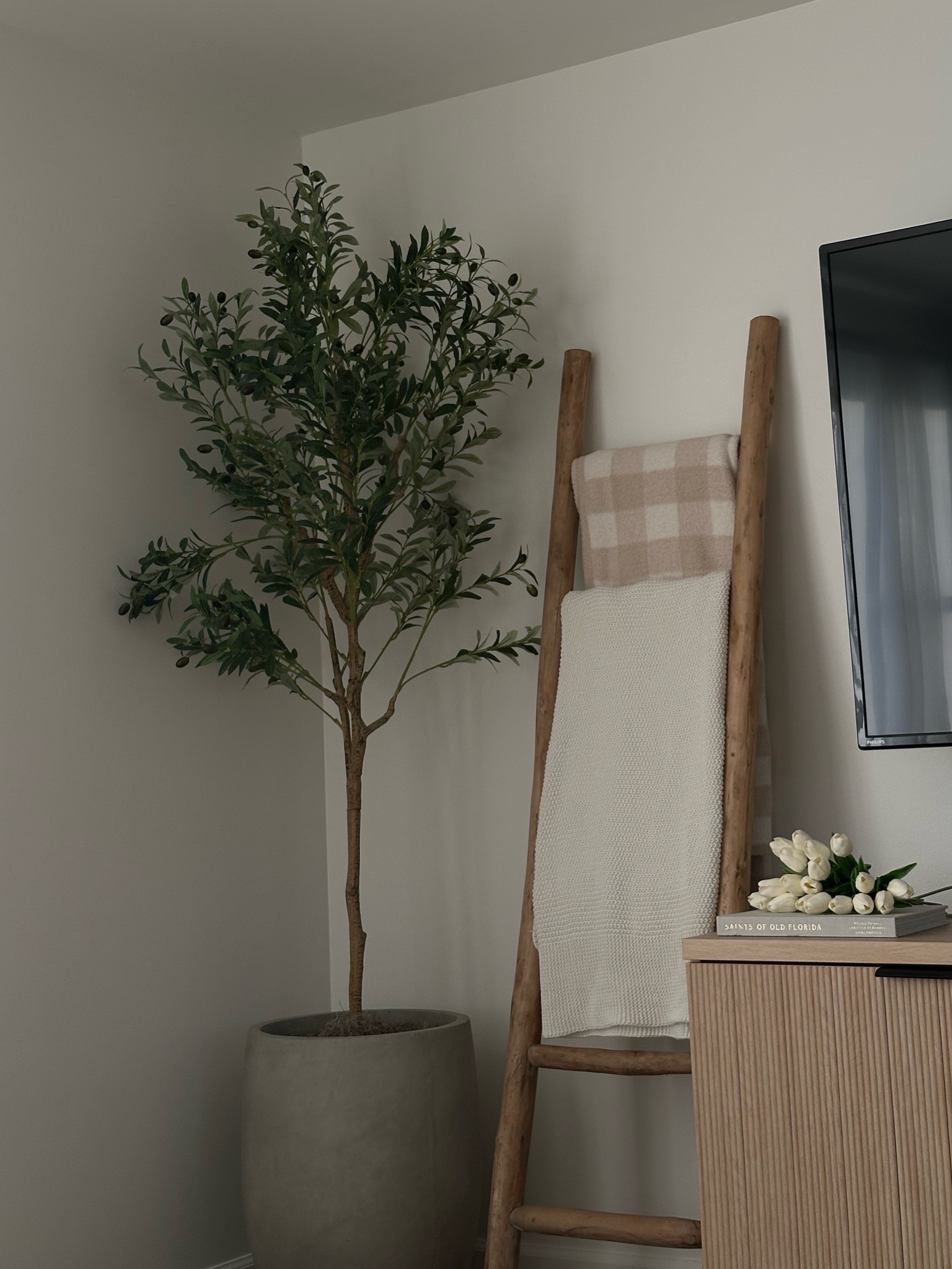 love how our house is coming together🕊️ 

neutral home decor | olive tree | blanket ladder | amazon finds | neutral home finds

#LTKHome #LTKFindsUnder100 #LTKFallSale