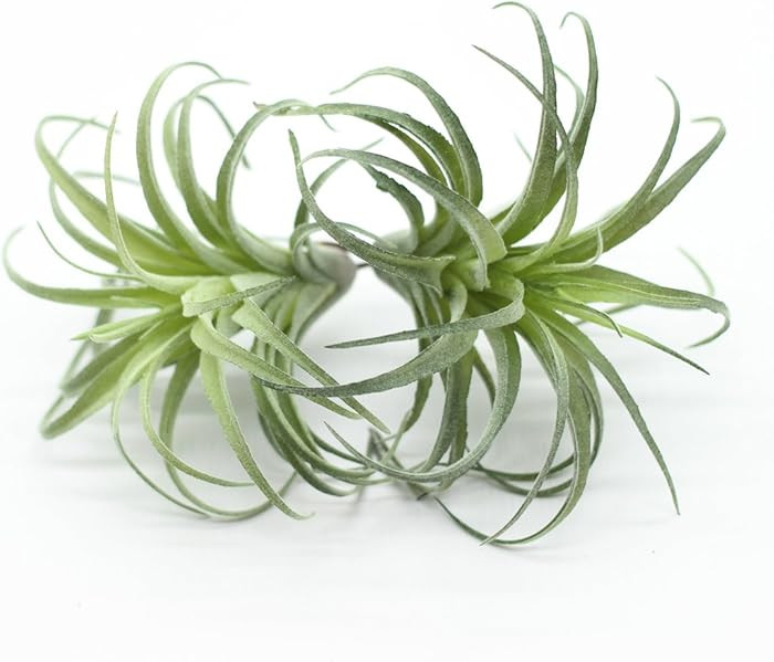 2PCS Artificial Flocking Tillandsia Air Plants Faux Succulents Bromeliads for Indoor/Outdoor Gard... | Amazon (US)