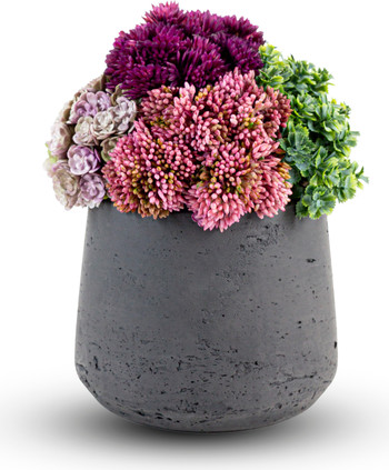 Neriah Mini Sedum Arrangement | Nordstrom