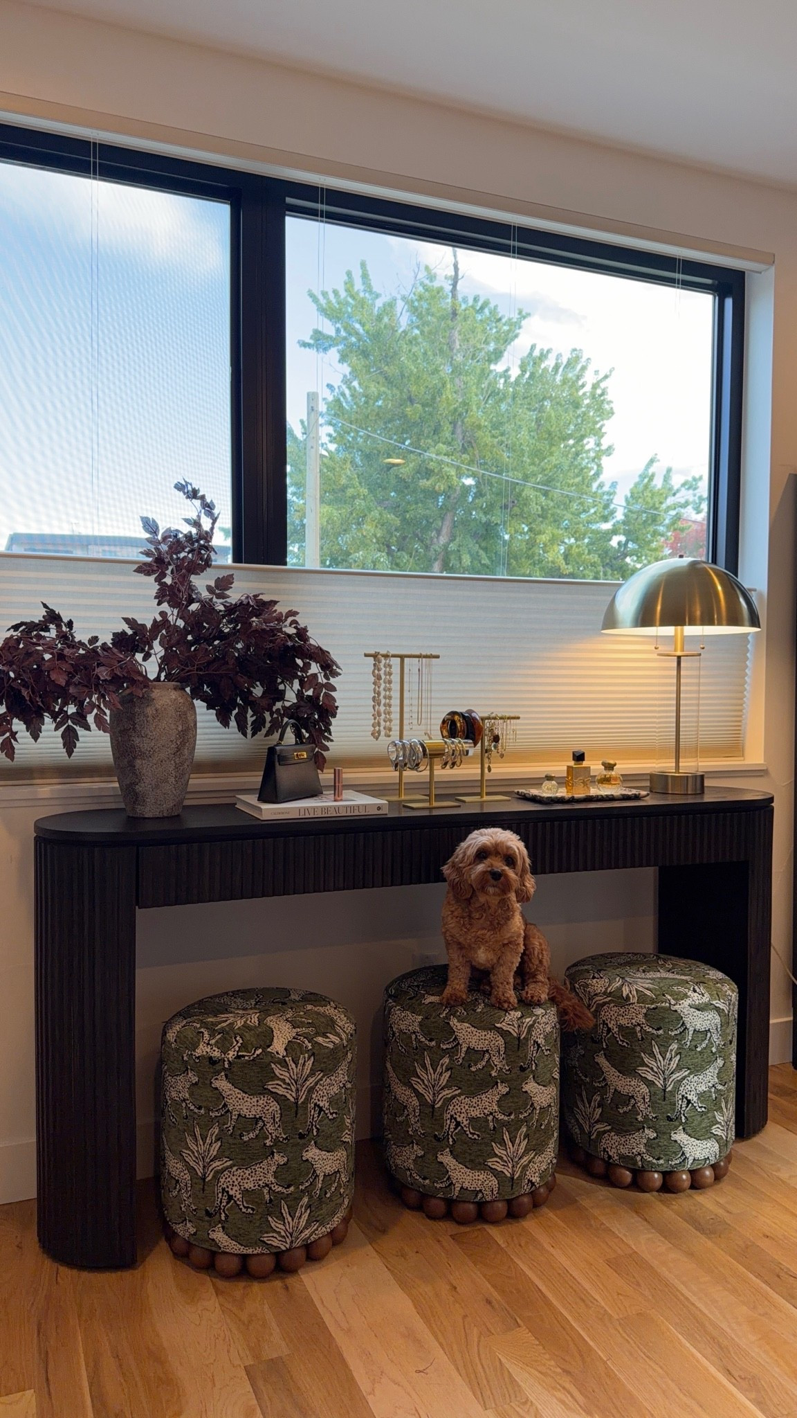 amazon home finds to make your space feel cozy and elevated 🍂

amazon home decor, furniture, living room, decor, console table, ottomans, accent stools, table lamps, home styling, interior decor, cozy home, home finds
