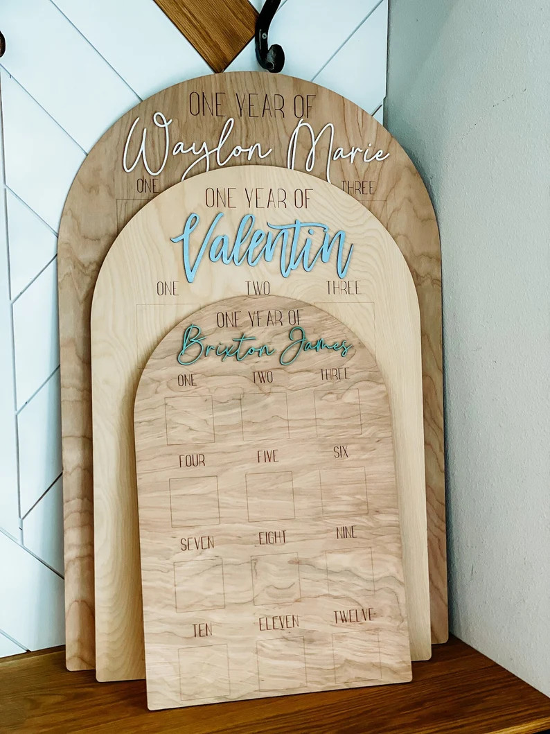 One Year of Baby First Birthday Milestones Sign Monthly Photos 12 Months of First Year Sign - Ets... | Etsy (US)