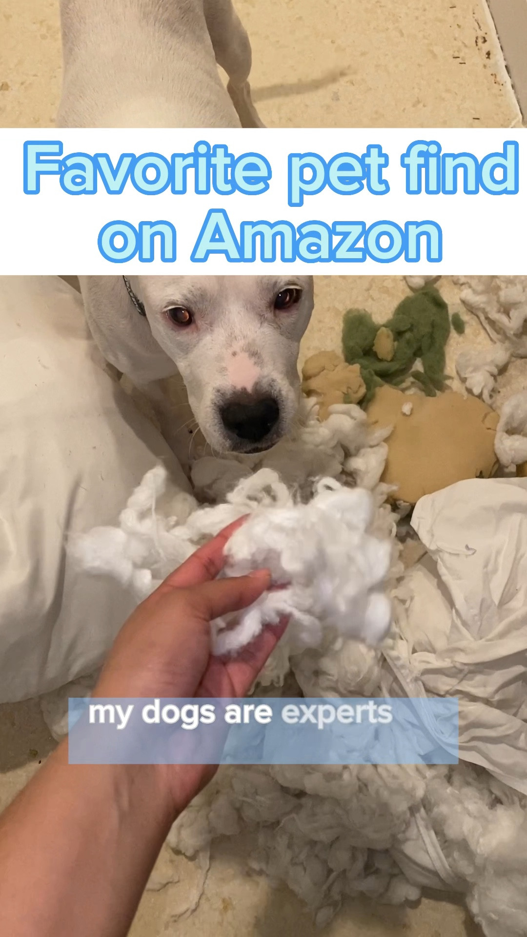 Making my own dog beds from the dog beds they tore up!!

#LTKCyberWeek #LTKGiftGuide #LTKmomlife