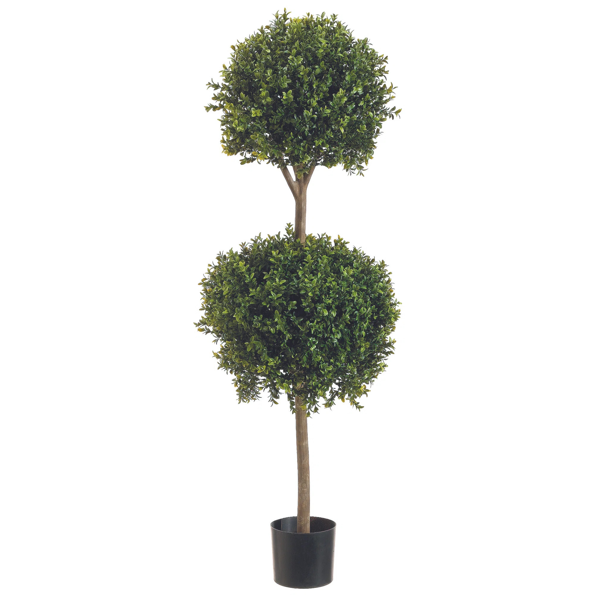 Elspeth 4.5' Faux Boxwood Topiary | Birch Lane