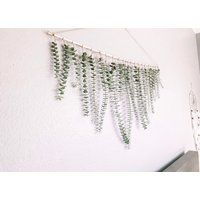 Eucalyptus Wall Hanging, Eucalyptus, Floral Boho Boho, Backdrop, Real Natural | Etsy (US)