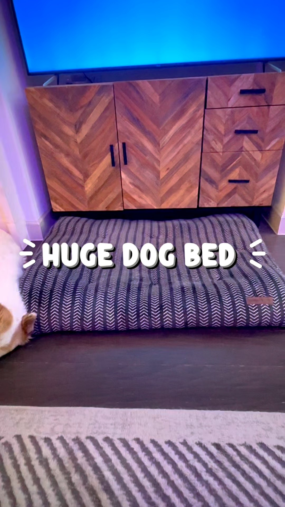 Huge dog beds and huge dogs…but not together 😂🙈

#LTKHome