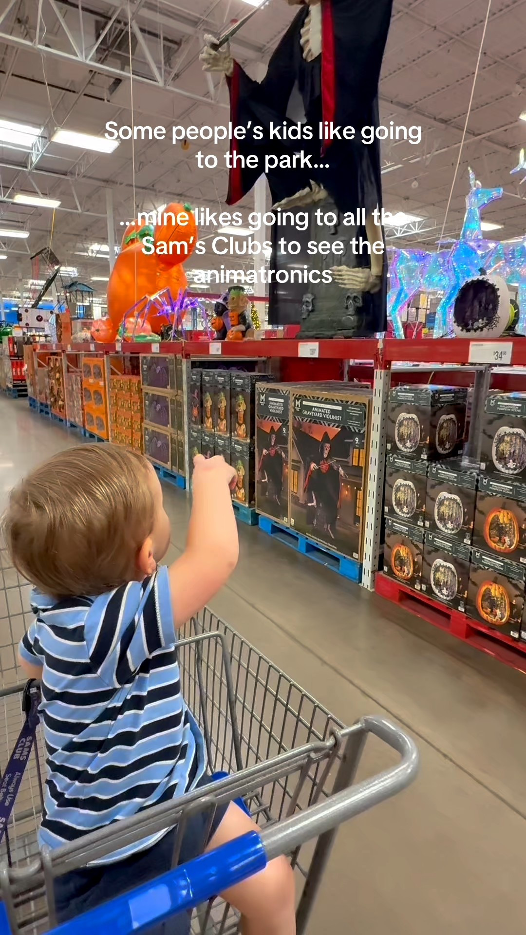 Who knew that Sams Club could attract toddlers for things other than samples?! These animatronics are a statement and well loved by lots of kids. Definitely not all, but absolutely my kids. #samsclub #halloweenfinds #yard

#LTKFamily #LTKHalloween #LTKSeasonal