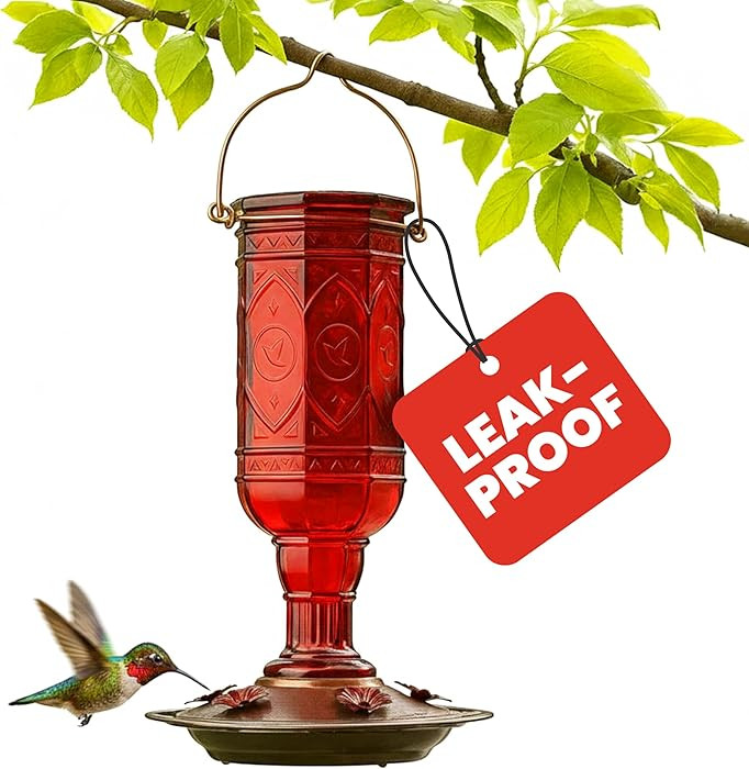 More Birds Red Jewel Hummingbird Feeder, Glass Bottle, 5 Feeding Ports and 20-Ounce Nectar Capaci... | Amazon (US)