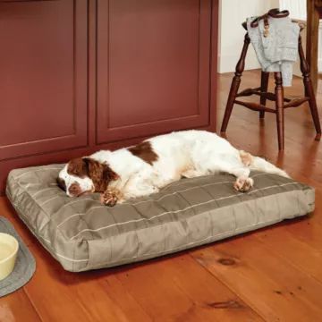 Orvis ToughChew® ComfortFill-Eco™ Platform Dog Bed | Orvis (US)