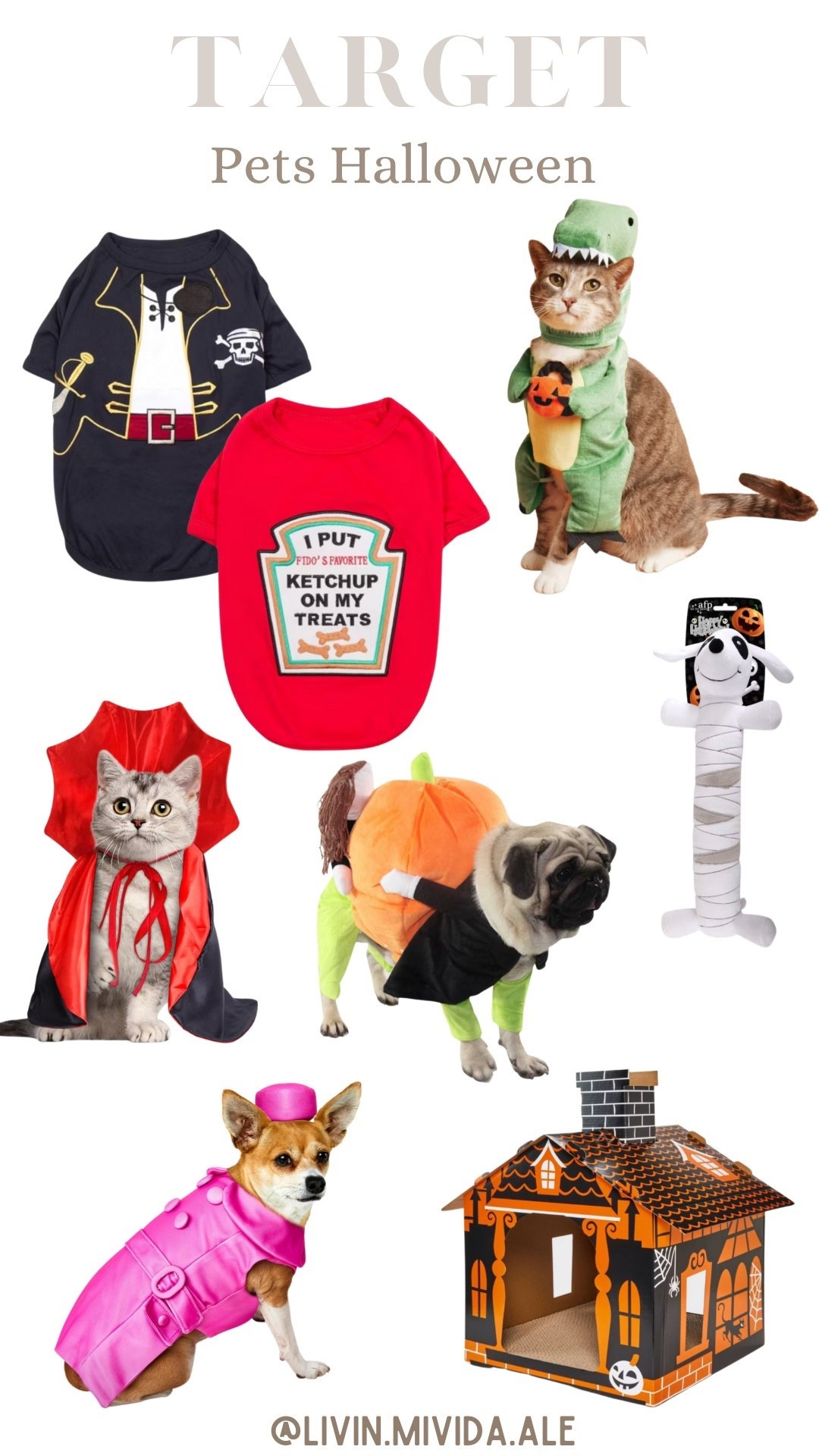 Pets Halloween 🐶🎃

#target #pets #costumes

#LTKSeasonal #LTKHalloween #LTKFindsUnder50
