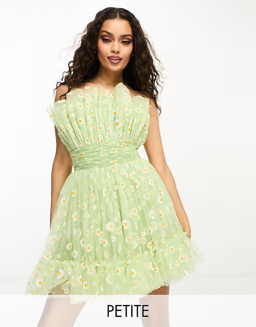 Lace & Beads Petite bandeau tulle mini dress in green daisy | ASOS (Global)