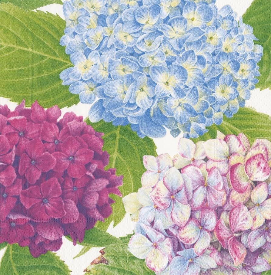 Caspari Hydrangea Garden Cocktail Napkin, Multicolored | Amazon (US)