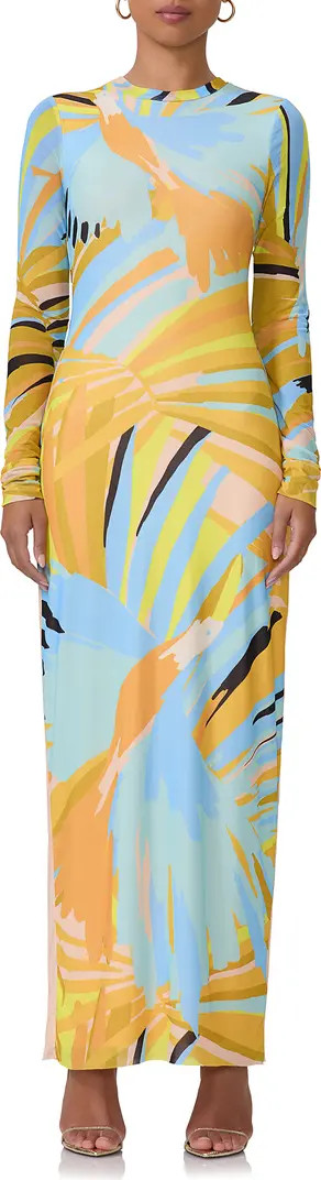 Didi Long Sleeve Mesh Maxi Dress | Nordstrom