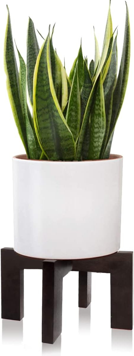 Gendral Forwepup Plant Stand Indoor Outdoor, Mid Century Plant Stand for Indoor Plants, Wood Mode... | Amazon (US)