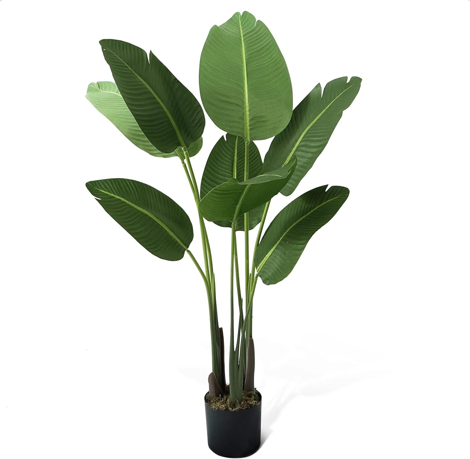 Vanora Birch Lane Artificial Bird of Paradise in Pot with Dried Moss, UV Resistant, 4 / 5 / 6 / 7... | Wayfair North America