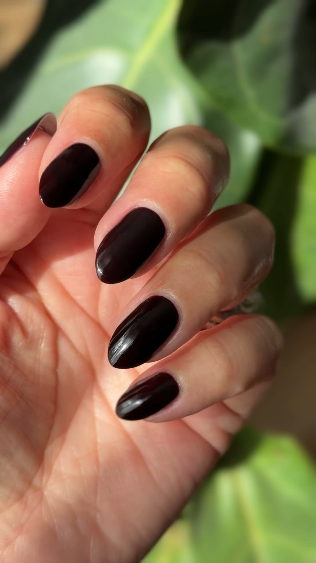 The darkest red in the O&J collection to date. Described as an ultra vampy oxblood, it could be mistaken for black from for away but up close you can see the hint of red. 

Use code: SALE25 to save during the O&J Cyber Sale 

#LTKCyberWeek #LTKHoliday #LTKBeauty