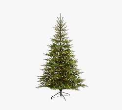 Lit North Carolina Spruce Faux Christmas Tree | Pottery Barn (US)