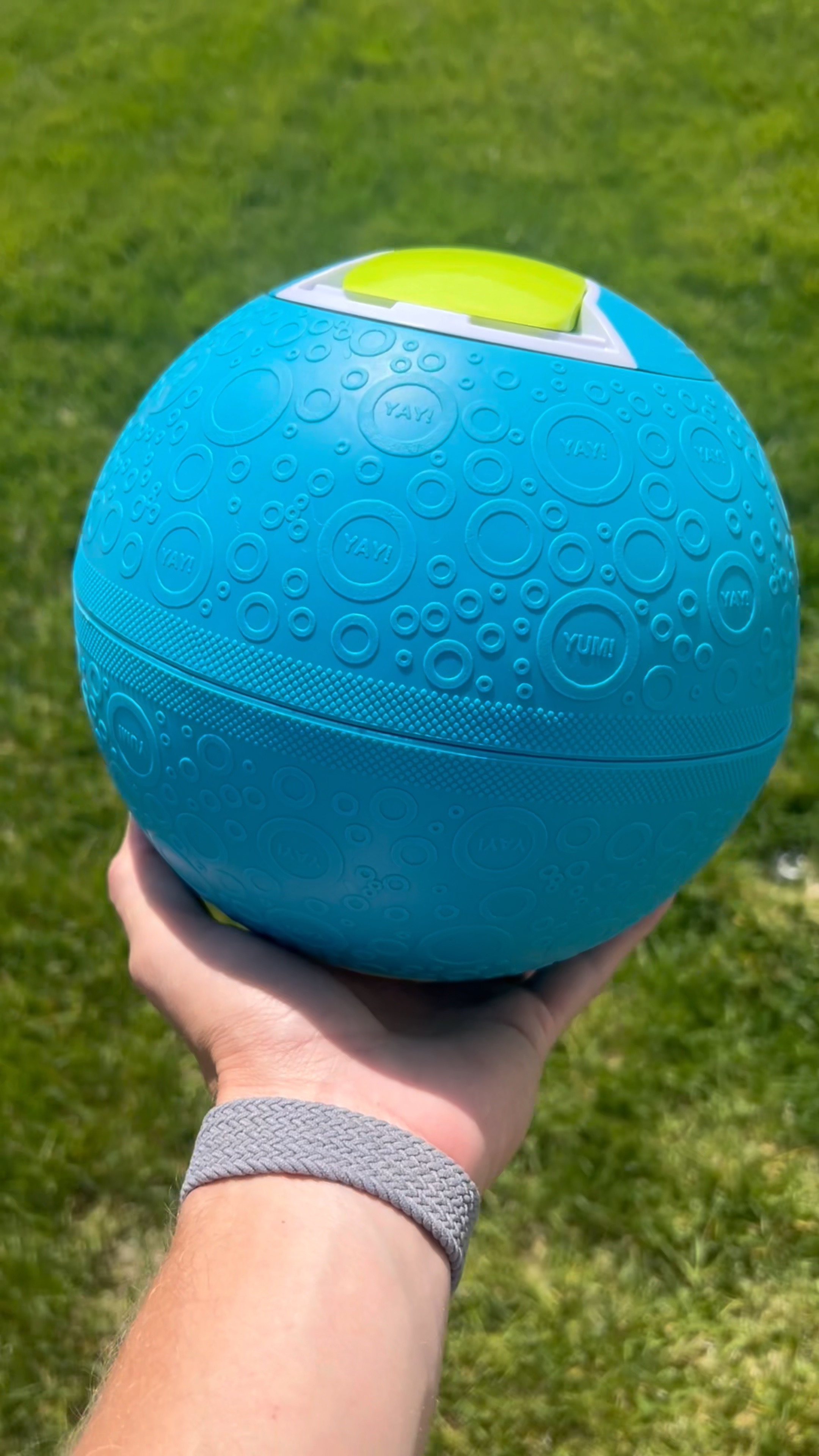 Amazon outdoor finds you actually need! 

#LTKVideo #LTKHome #LTKFamily