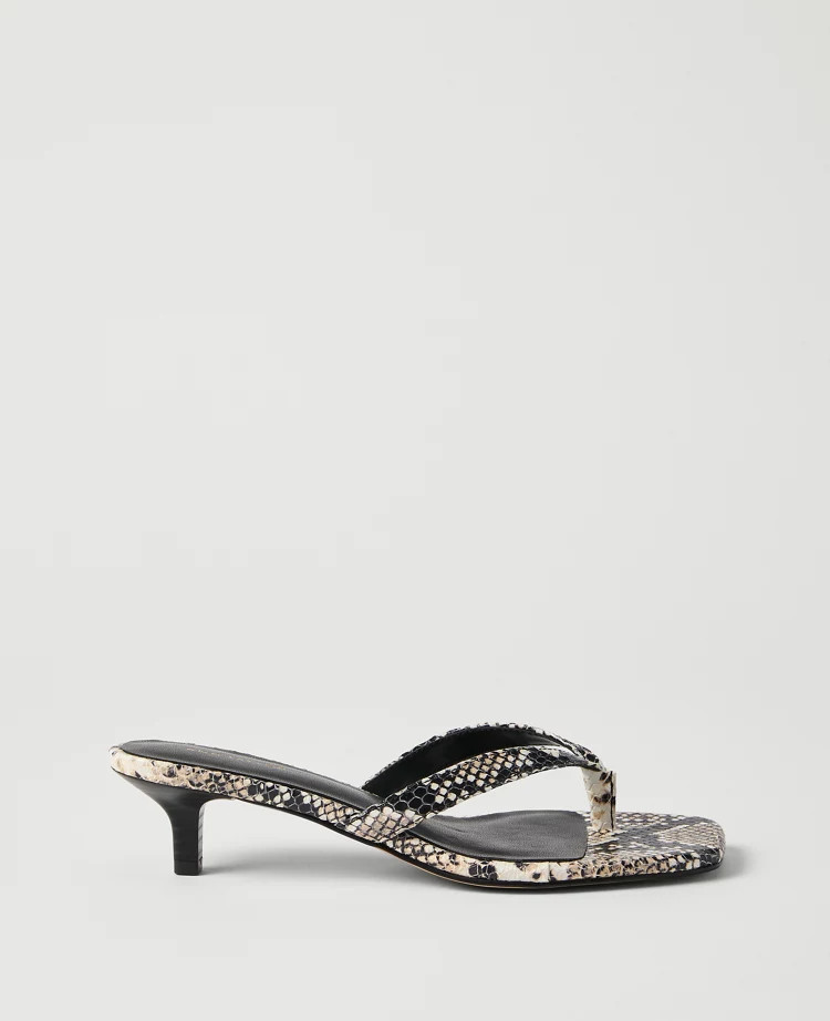 Snake Print Kitten Heel Sandal | Ann Taylor