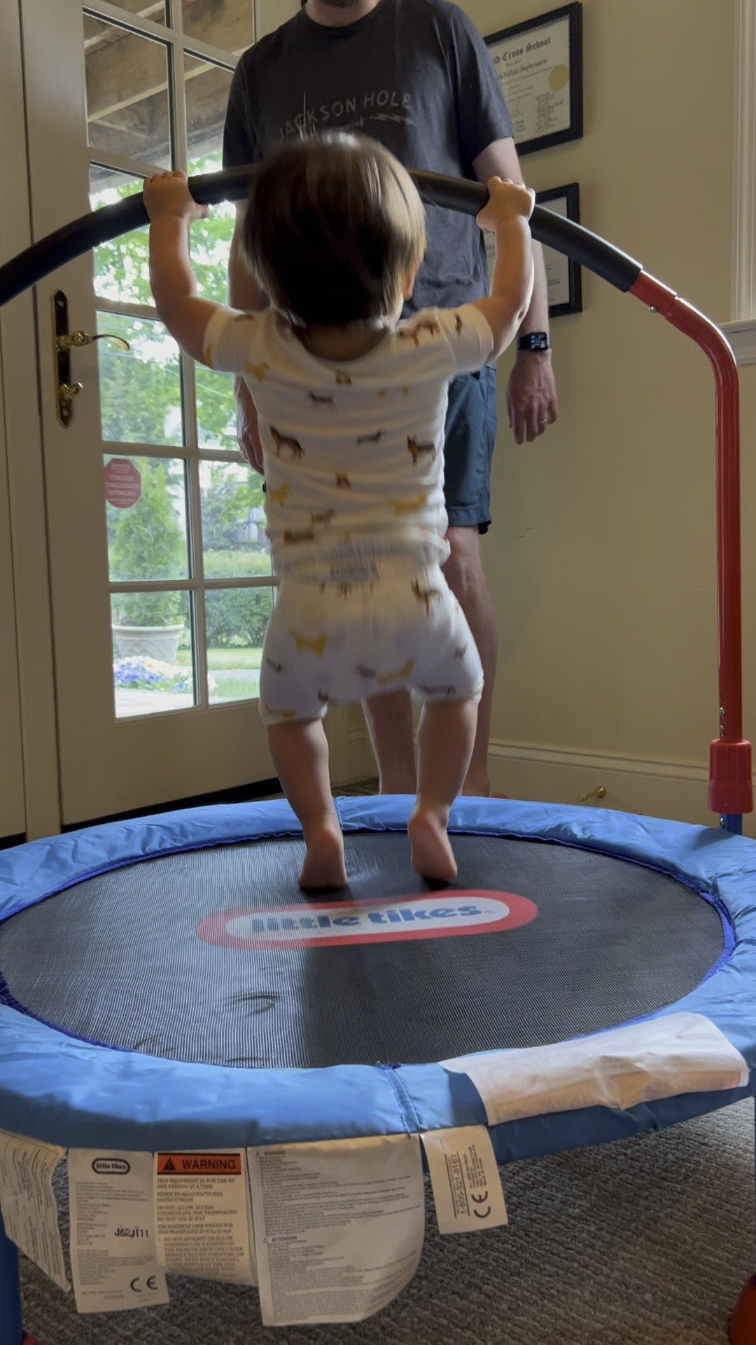 My 18 month old’s current obsession is this trampoline! 

#LTKfamily #LTKbaby #LTKkids