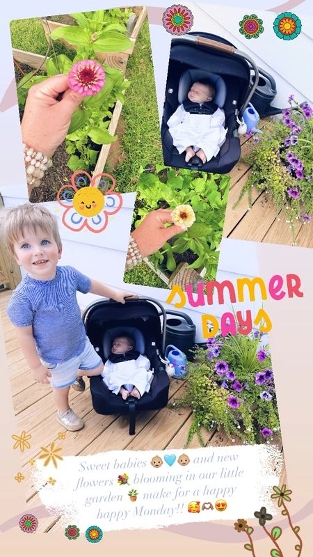 Sweet babies 👶🏼🩵👶🏼 and new flowers 💐 blooming in our little garden 🪴 make for a happy happy Monday!! 🥰🫶🏽😍

#LTKFamily #LTKHome #LTKBaby