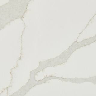Quartz Countertop Sample in Calacatta Idillio | The Home Depot