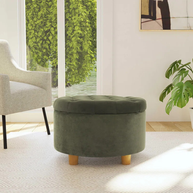 Bhismpal Velvet Ottoman | Wayfair North America