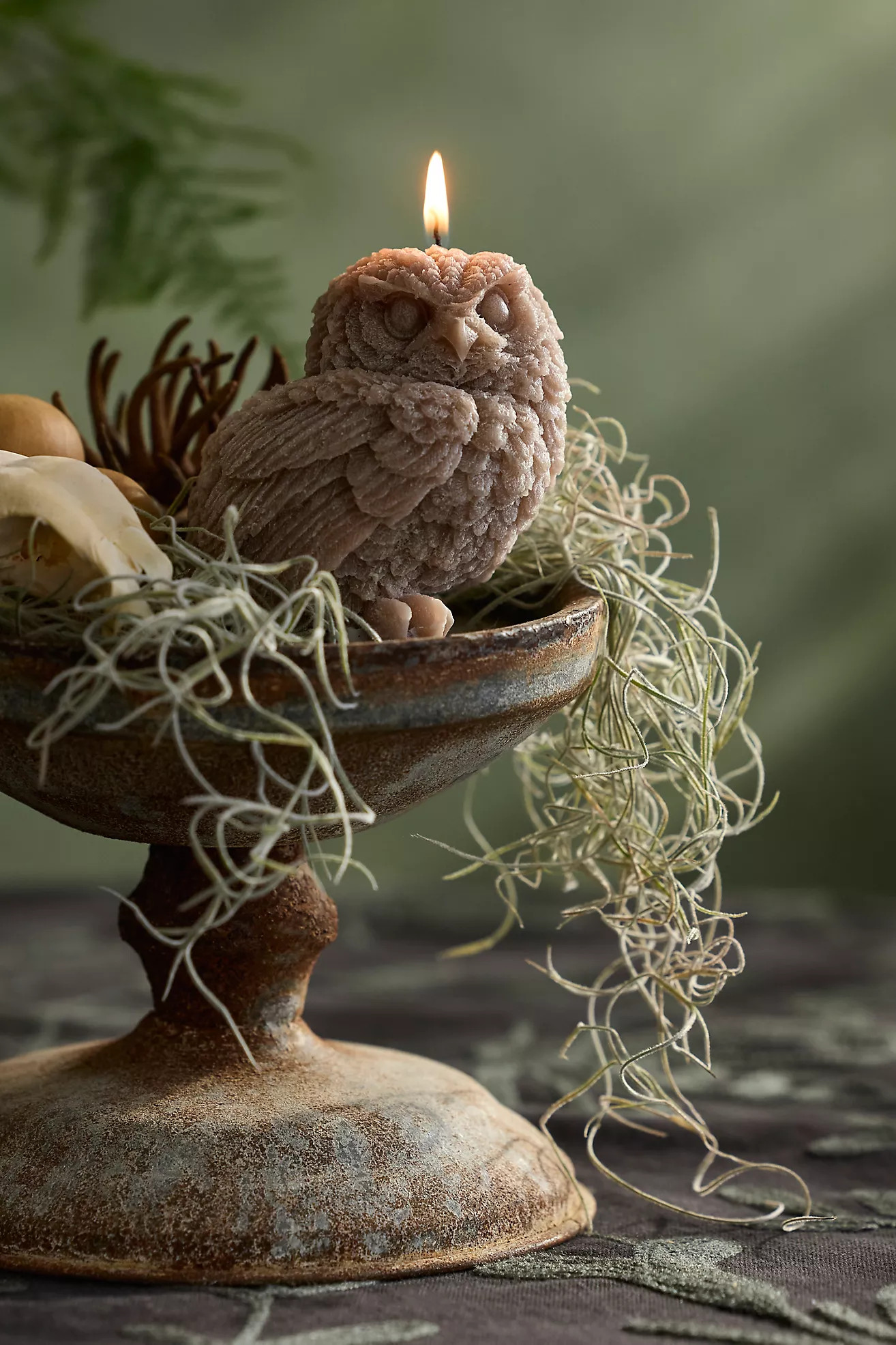 Brown Owl Candle | Anthropologie (US)