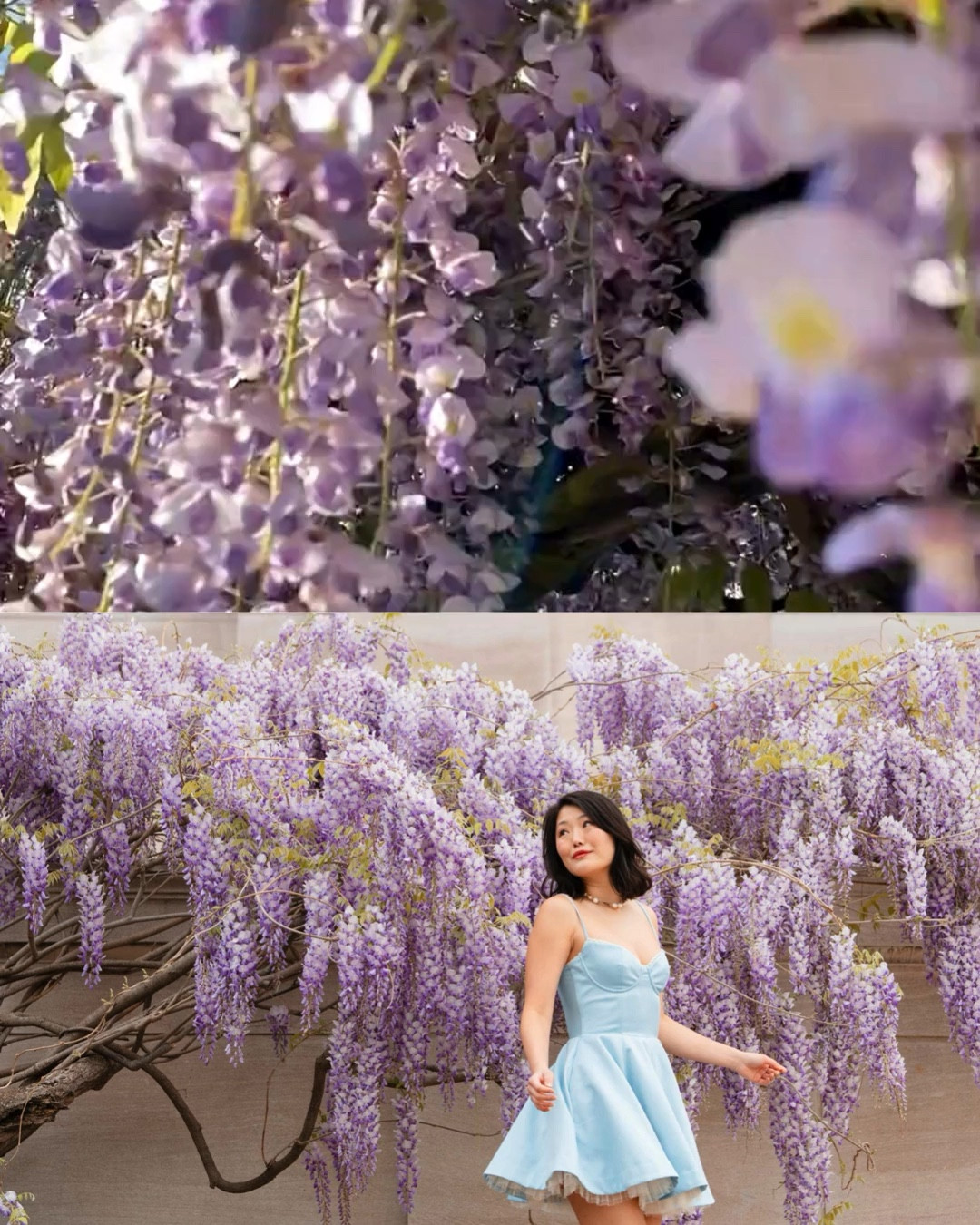 Spring dress
House of cb minimoiselle dress
Wearing size small