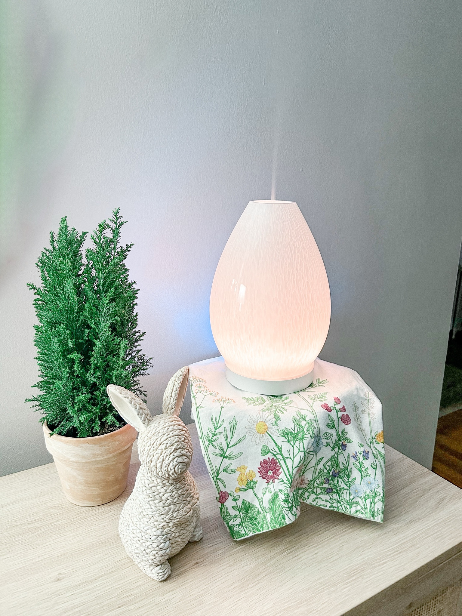 Young Living Artisan Diffuser 2個セット 新品 Essential Oils