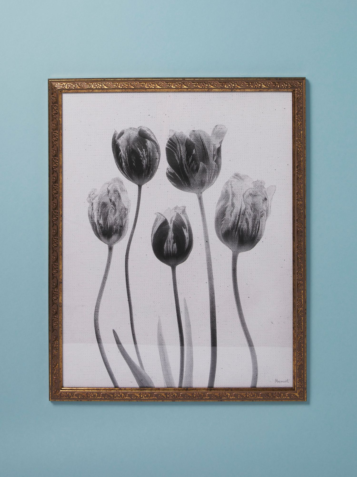 16x20 Tulips Framed Wall Art | HomeGoods