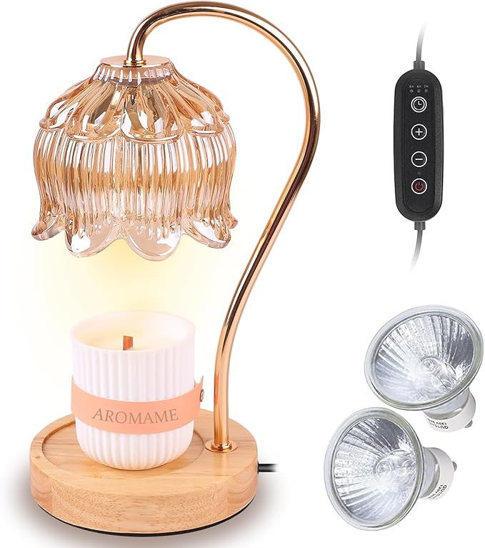 WAEKIYTL Candle Warmer Lamp with Timer, Electric Dimmable Candle Wax Warmers Lamp with 2 Bulbs, N... | Amazon (US)