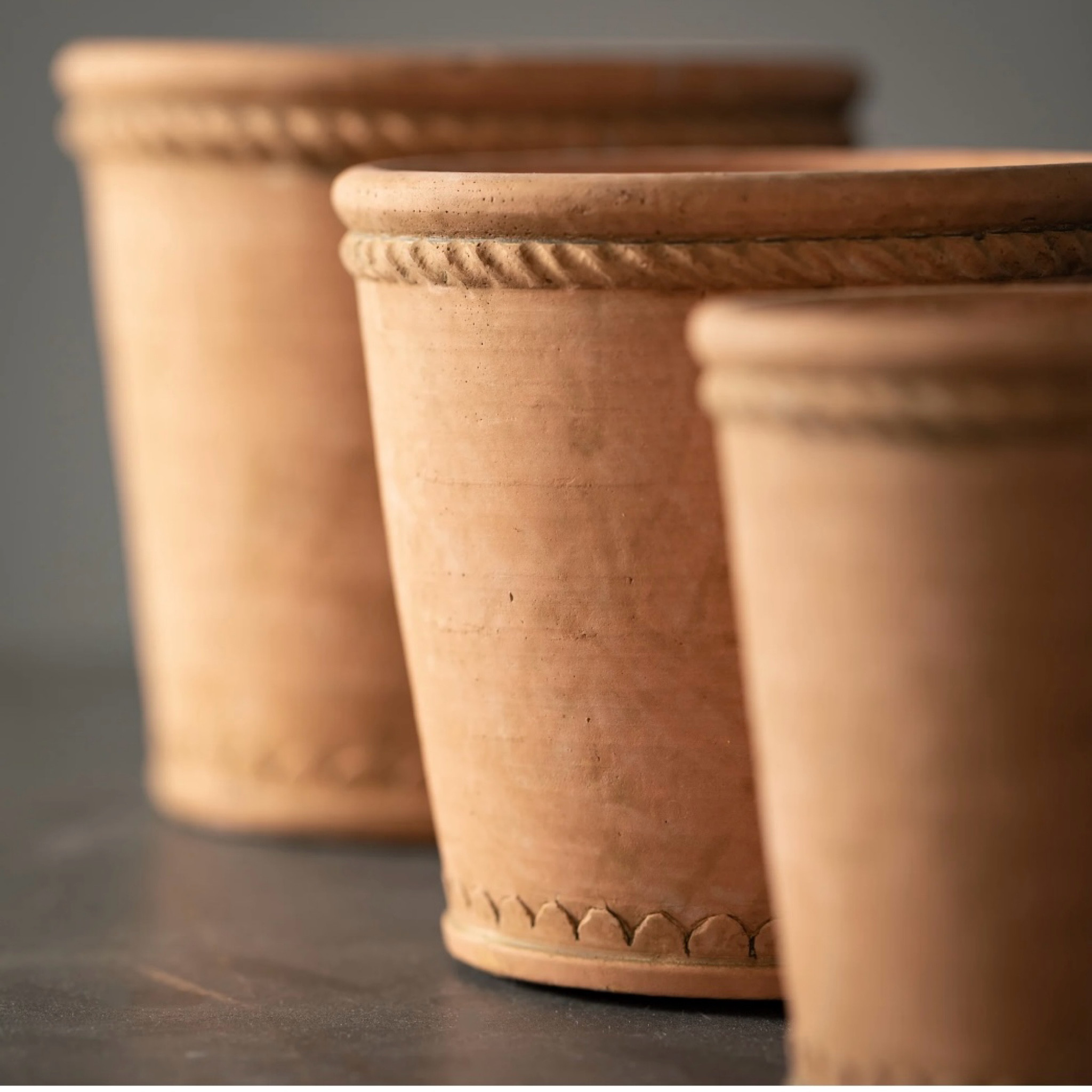 LOVE these terra cotta planters!

Such a great price for a set of three decorative plant pots. 

These would be a beautiful addition to your home decor and also a great gift.

#LTKGiftGuide #LTKFindsUnder50 #LTKHome