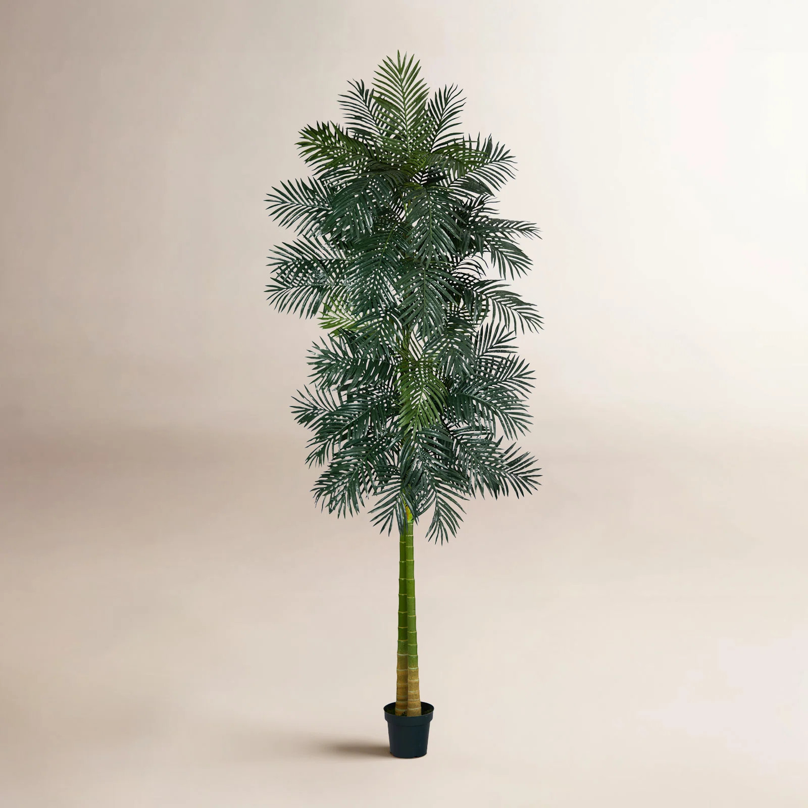 120'' Faux Palm Tree in Pot | Birch Lane