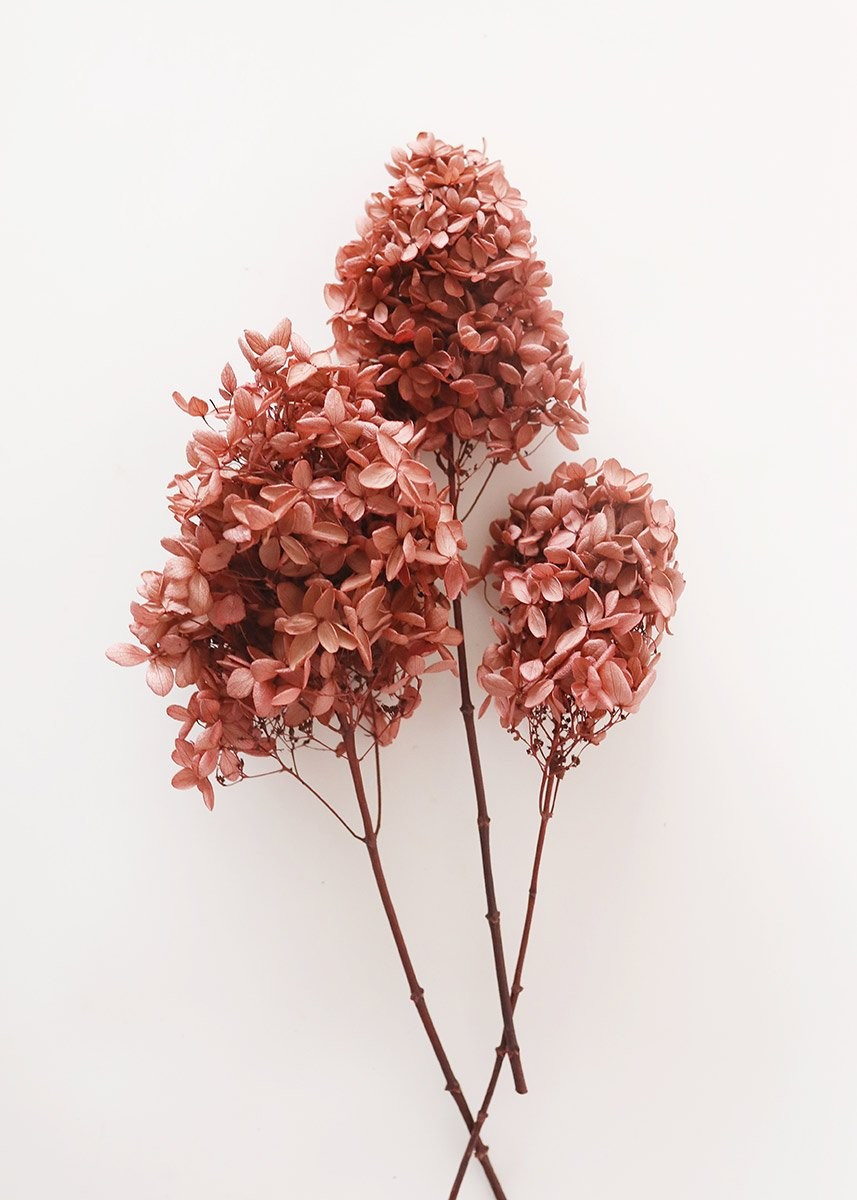 Mauve Pink Preserved Hydrangea Flowers - 12-16" Tall | Afloral (US)