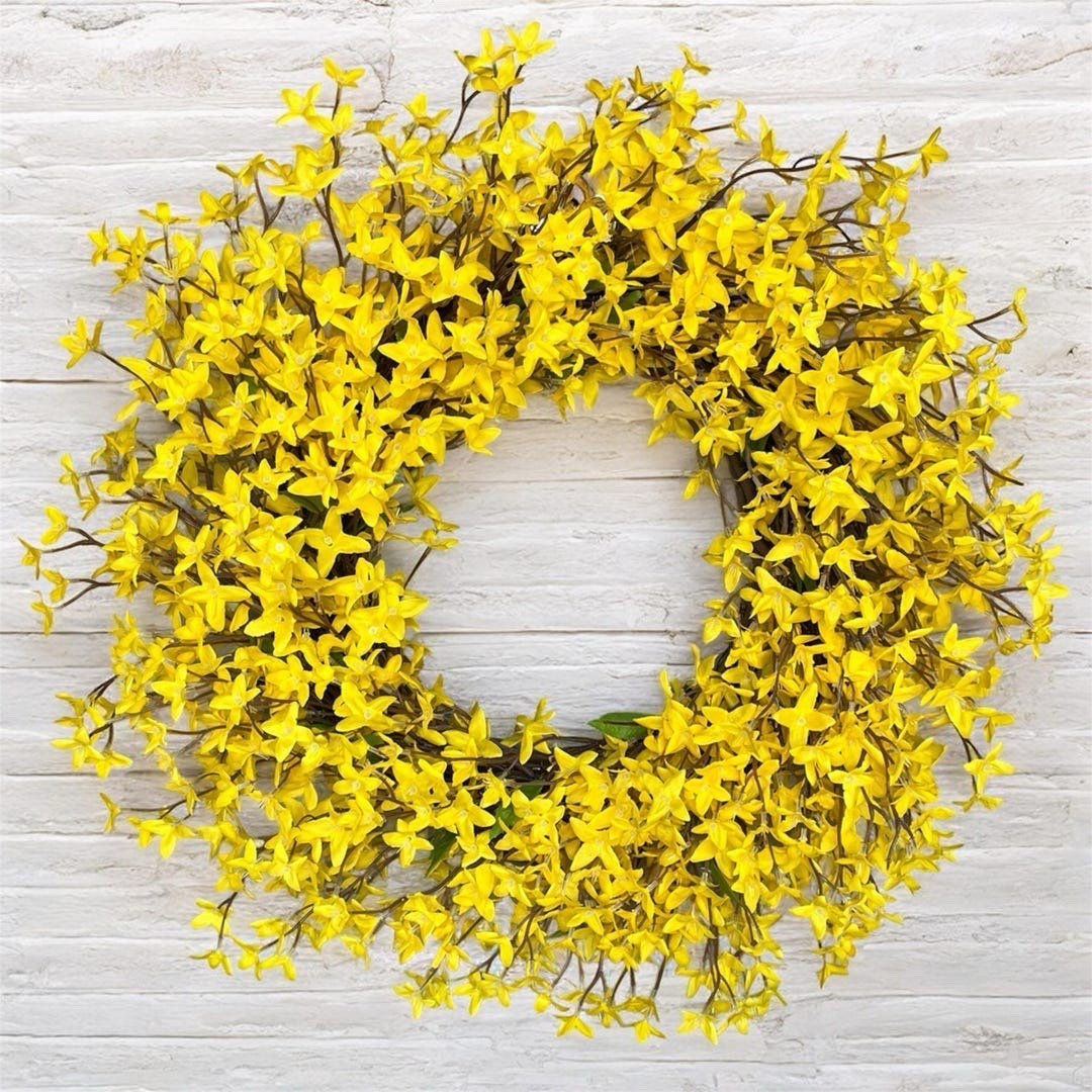 Brighten your entryway with this cheerful yellow forsythia wreath from Petalsandposies618. Designed on a natural grapevine base with vibrant blooms and soft eucalyptus accents, this full and welcoming wreath adds instant spring warmth to your front door. Available in multiple sizes and handcrafted with high-quality florals, it’s the perfect way to refresh your home with a sunny seasonal touch.

#LTKHome #SpringWreath #ForsythiaWreath #FrontDoorDecor #SpringDecor #YellowDecor #SeasonalDecor #FarmhouseStyle #EntrywayDecor #HomeDecorFinds #SpringHome #DoorDecor #LTKFinds #HomeInspo

#LTKHome #LTKFestival #LTKSeasonal