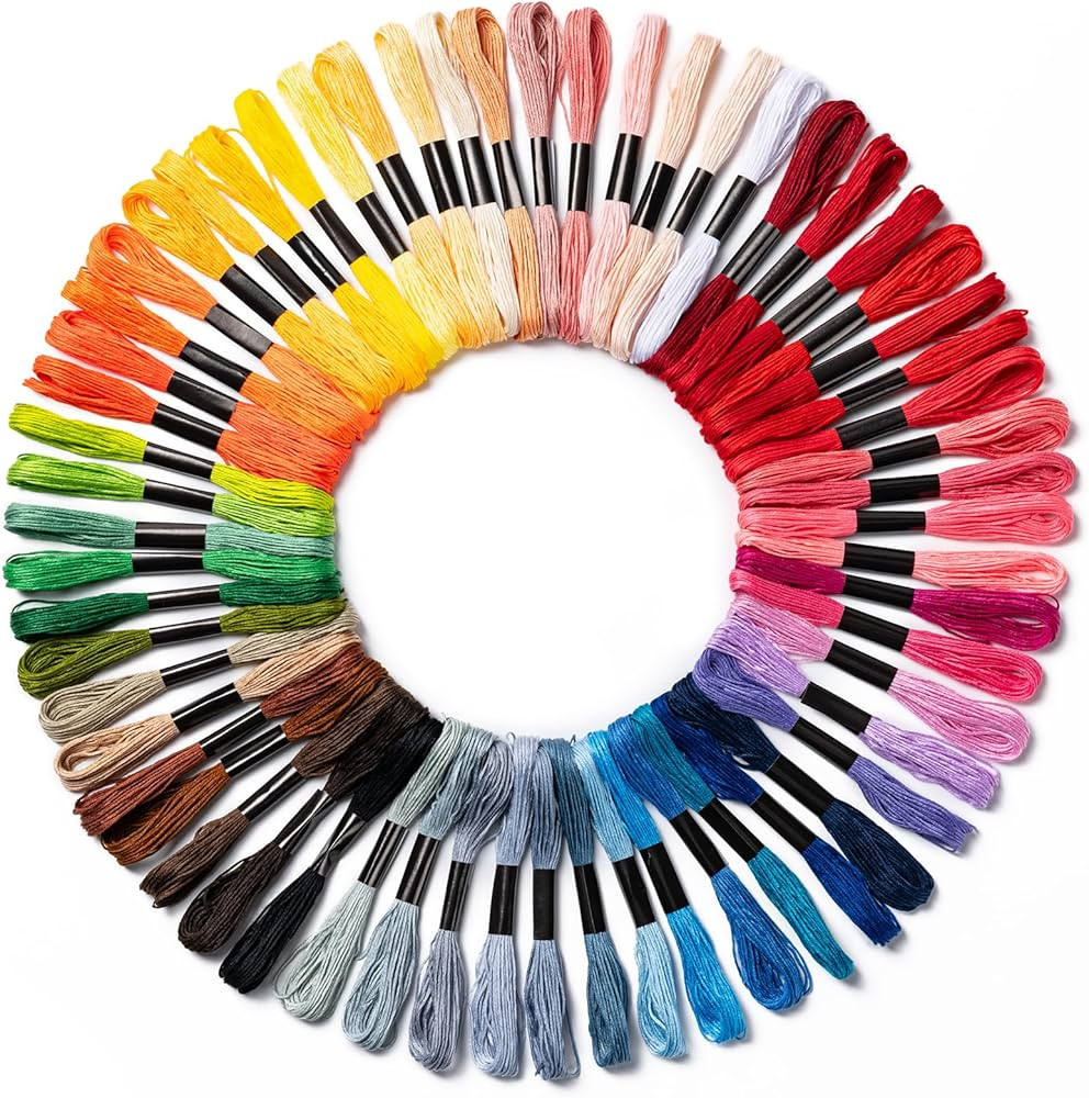 Friendship Bracelet String, 60 Skeins Cross Stitch Thread with 344.5 Inch Cotton Embroidery Floss... | Amazon (US)