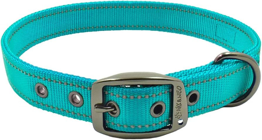 Max and Neo MAX Reflective Metal Buckle Dog Collar - We Donate a Collar to a Dog Rescue for Every... | Amazon (US)