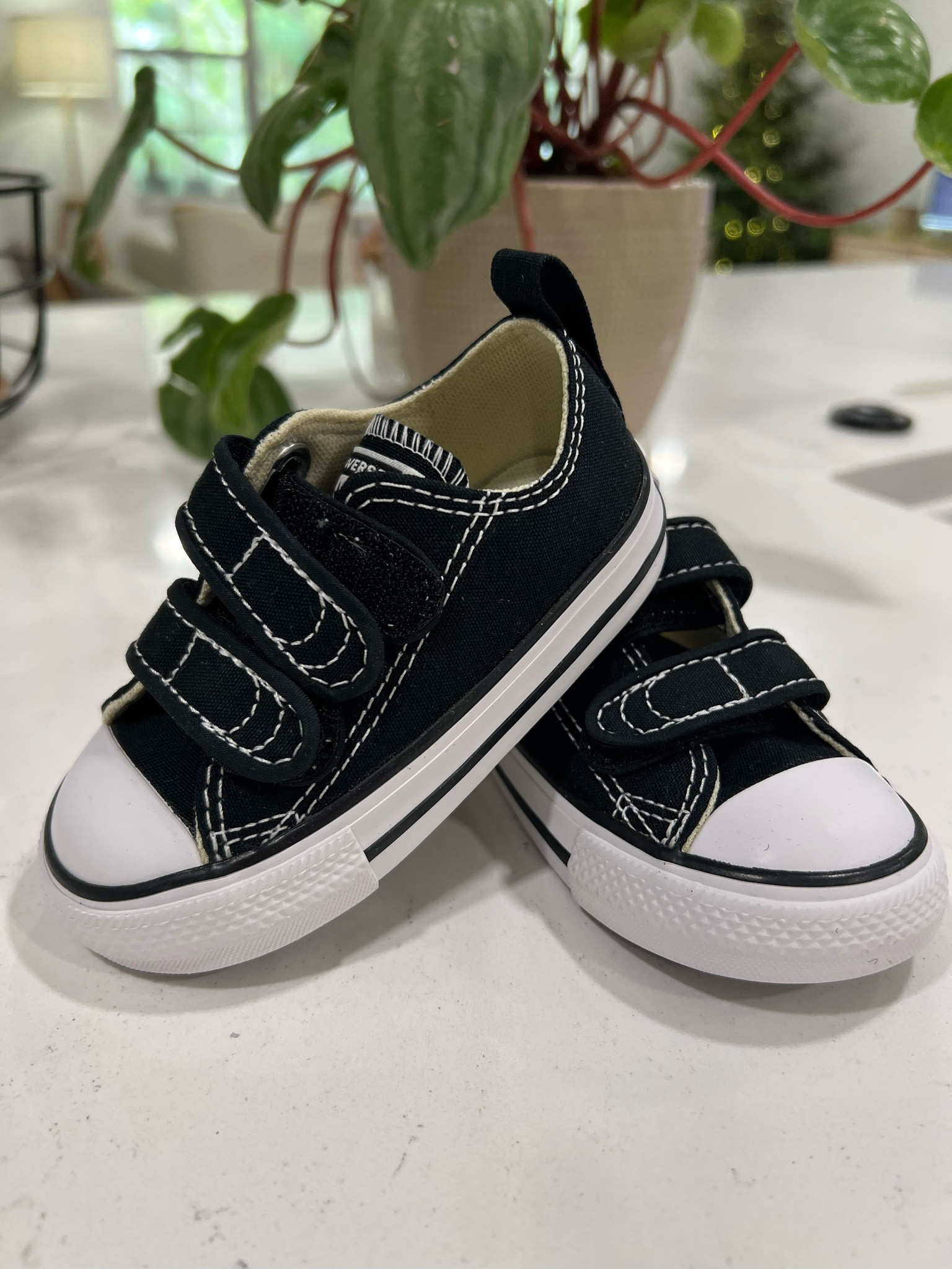 Baby converse 

#LTKunder50 #LTKbump #LTKbaby