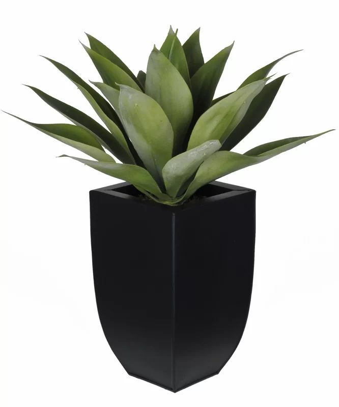 Artificial Desk Top Plant in Vase | Wayfair North America