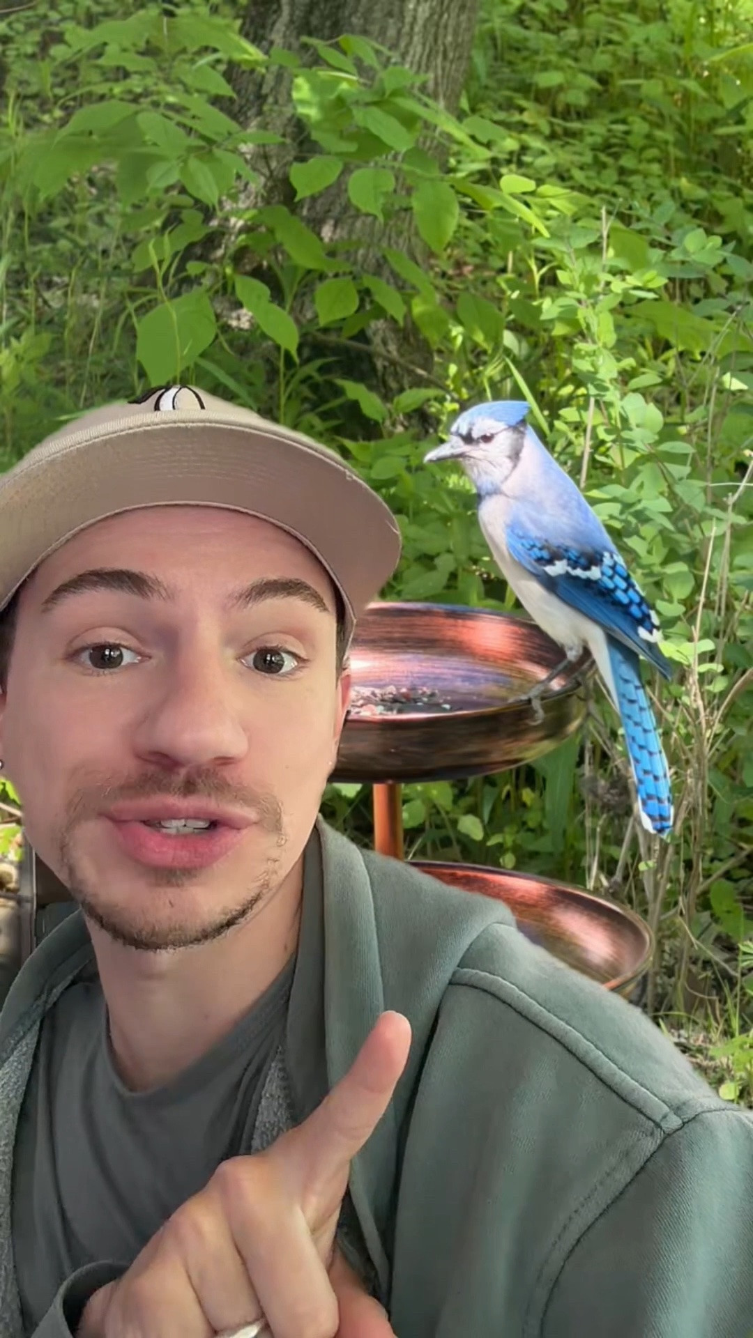 Who else loves feeding the birds?!

#LTKSeasonal #LTKSaleAlert #LTKHome