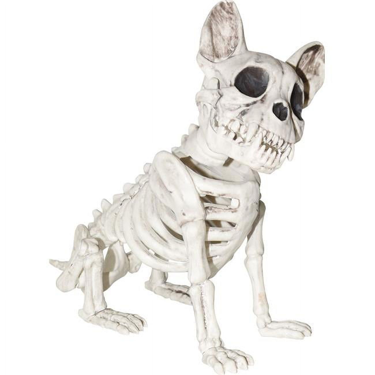 11" Plastic French Bulldog Boston Terrier Dog Skeleton Halloween Prop Decoration | Walmart (US)