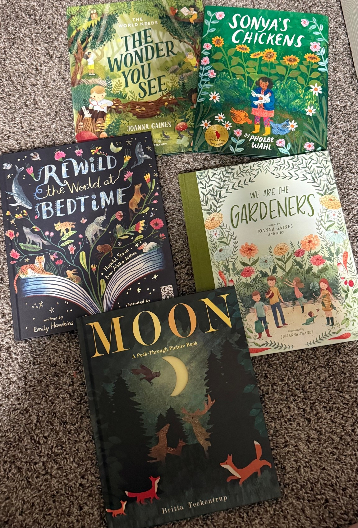 Books for your kids!! 




#LTKHoliday #LTKGiftGuide #LTKstorytime