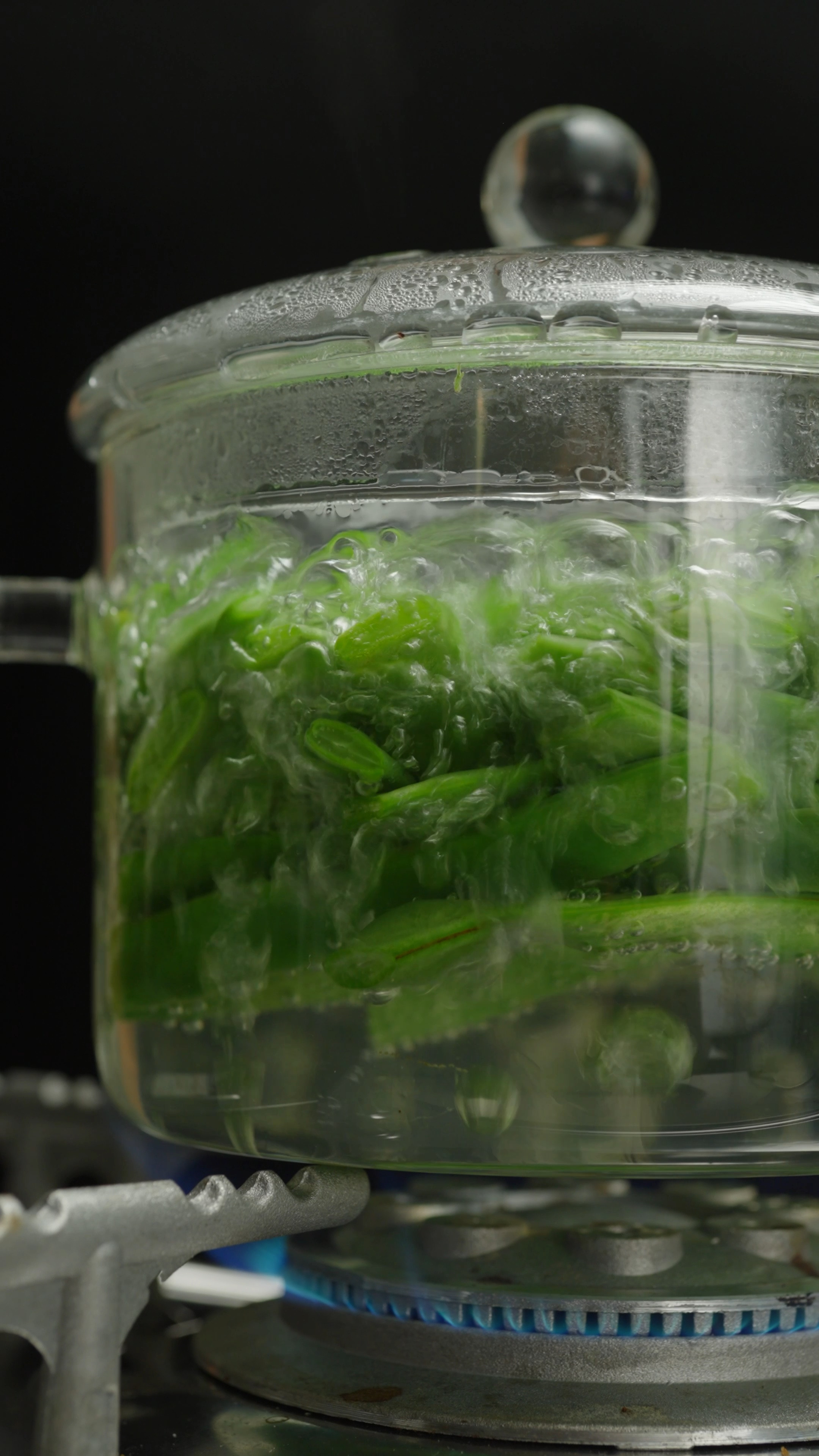 Glass pot. Pot. Cooking pot. Perfect for boiling veggies, pasta and making tea

#LTKGiftGuide #LTKhome #LTKfindsunder50