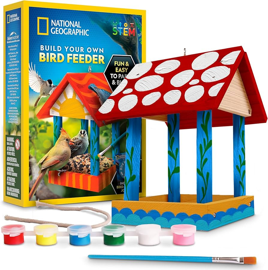 National Geographic Build Your Own Bird Feeder Kit – DIY Wooden Feeder Craft with Paints, Brush... | Amazon (US)